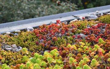 the cost of Vale Of Health green roof installation