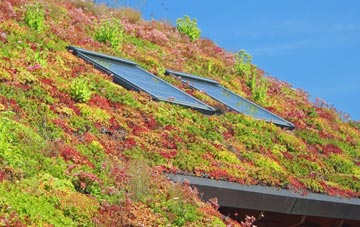Vale Of Health living roof systems