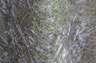 Vale Of Health fibreglass roof work